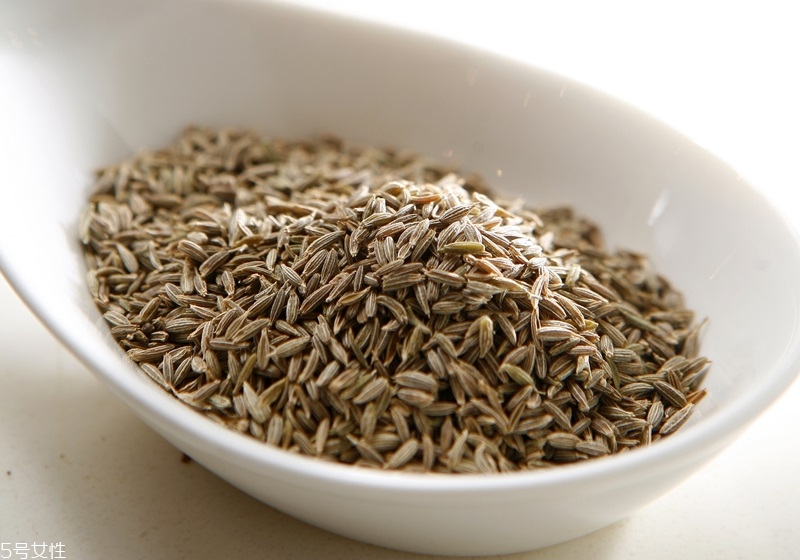 茴香有幾種 茴香品種介紹 茴香有幾種 茴香品種介紹