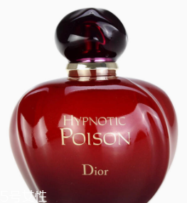 冬天適合用什么香水？這六款香水聞起來暖暖的