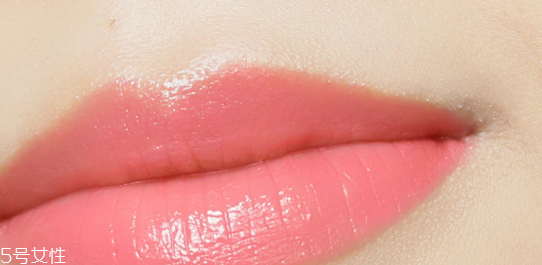 嬌蘭325和344哪個好看？直男最愛