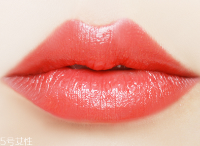 嬌蘭325和344哪個好看？直男最愛