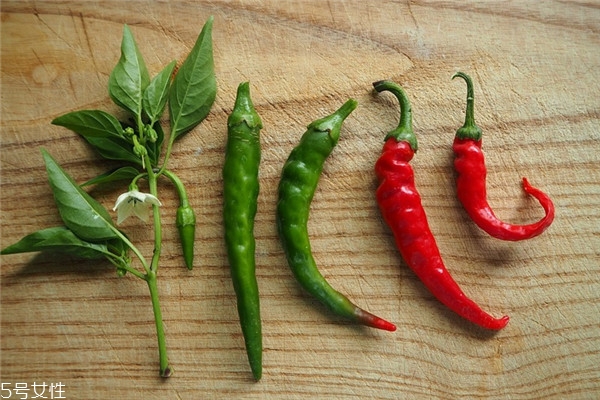 辣椒怎么保存時間長 青紅辣椒各不同 辣椒怎么保存時間長 青紅辣椒各不同