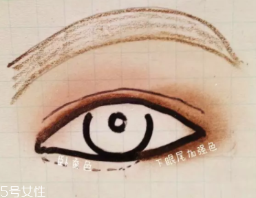 大地色眼影怎么配色？用好大地色百搭又時尚
