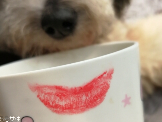 雅詩蘭黛口紅怎么樣？