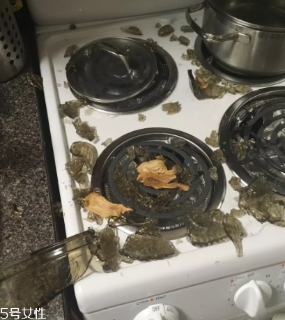 康寧鍋會(huì)爆炸嗎？請(qǐng)小心使用