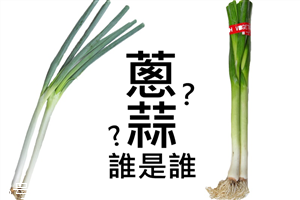 蔥和蒜苗的區(qū)別 蔥蒜怎么區(qū)分 蔥和蒜苗的區(qū)別 蔥蒜怎么區(qū)分