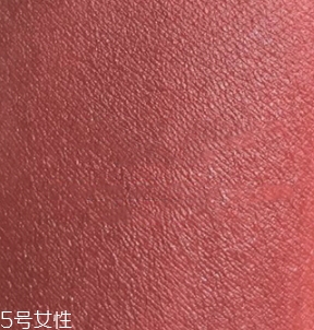 雅詩蘭黛口紅333和360試色對比 雅詩蘭黛口紅333和360試色對比