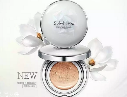 雪花秀氣墊適合干皮嗎？韓國氣墊界的冠軍