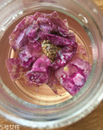 墨紅玫瑰功效 女性喝它好 墨紅玫瑰功效 女性喝它好