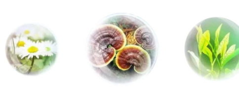 香蒲麗防曬霜怎么樣？從防曬值和成分說(shuō)開(kāi)去