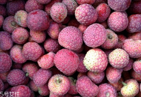 雞嗉子果怎么吃？雞嗉子果的功效和作用