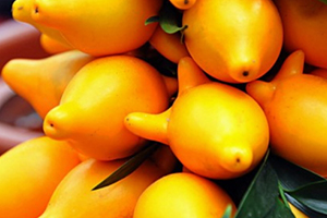 黃金果怎么吃？黃金果能吃嗎？