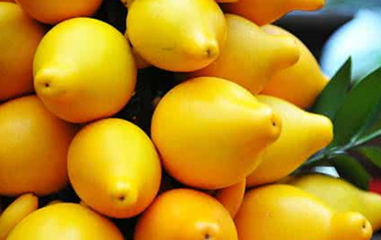 黃金果怎么吃？黃金果能吃嗎？