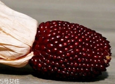 草莓玉米多少錢一斤？酷似草莓的玉米
