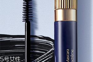 雅詩蘭黛睫毛膏有幾款？哪款好用？
