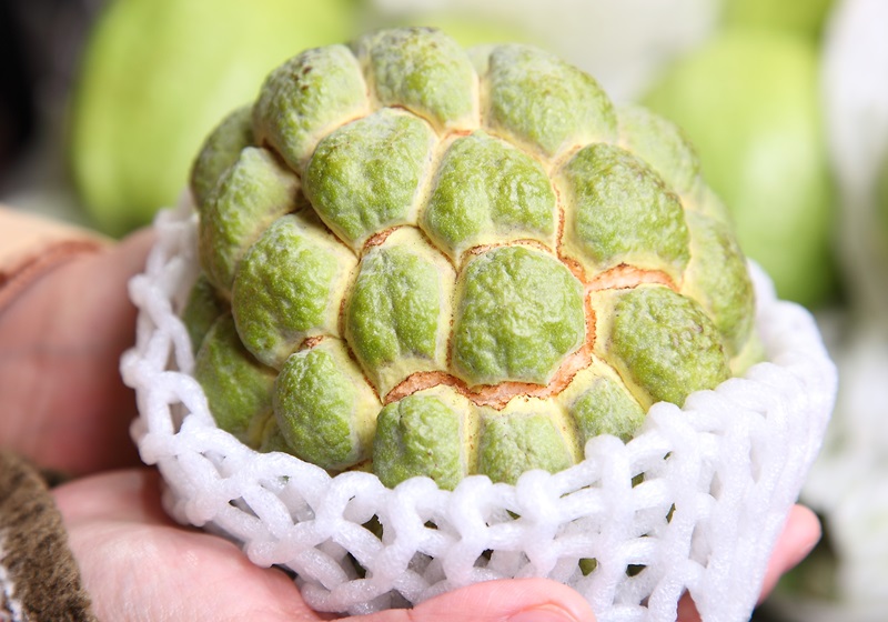 釋迦果怎么挑選與保存 釋迦果怎么挑選與保存