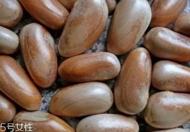 榴蓮蜜怎么吃？不同的吃法風格