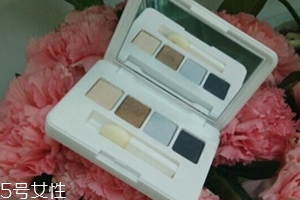 雅詩(shī)蘭黛眼影盤怎么用？