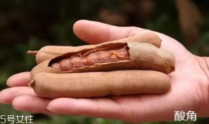 羅望子的功效與作用 羅望子的功效與作用