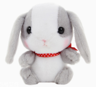 AMUSE玩偶是哪個(gè)國(guó)家的牌子？東京御宅族文化商品