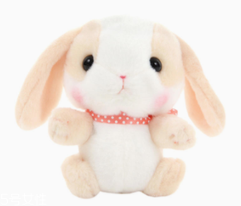 AMUSE玩偶是哪個(gè)國(guó)家的牌子？東京御宅族文化商品