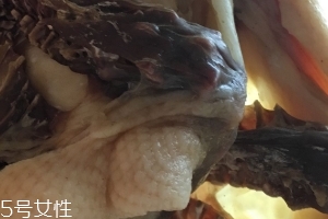 板鴨怎么做好吃？這樣做香氣撲鼻