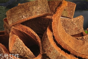 肉桂可以泡水喝嗎 肉桂泡水益處多多 肉桂可以泡水喝嗎 肉桂泡水益處多多