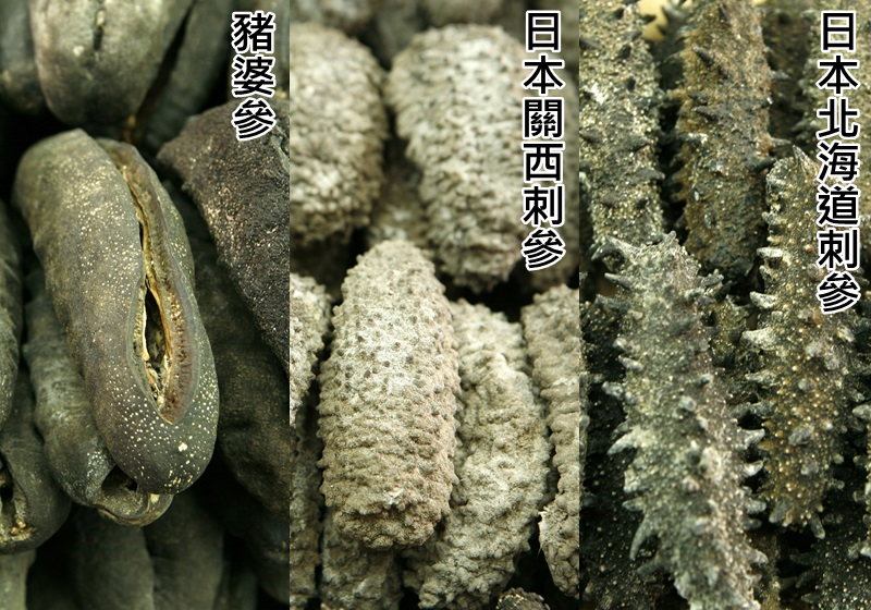 干海參怎么泡發(fā)最好最快 4步驟泡發(fā) 干海參怎么泡發(fā)最好最快 4步驟泡發(fā)