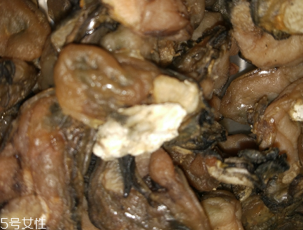 牡蠣干的功效與作用 男性吃了好 牡蠣干的功效與作用 男性吃了好