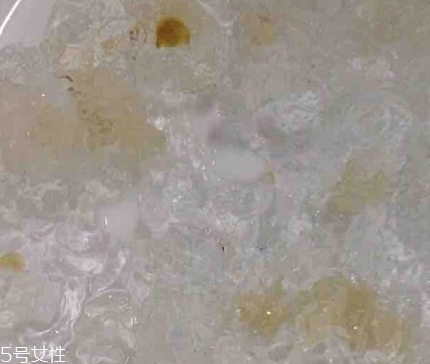 雪燕和桃膠能一起燉嗎？