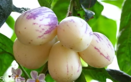 香瓜茄孕婦可以吃嗎？香瓜茄功效多