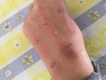 愛麗小屋十色眼影盤哪個(gè)好看？酒紅色非常好看