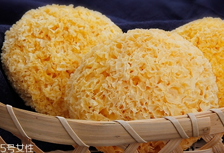 丑耳多少錢一斤？比銀耳更加珍貴