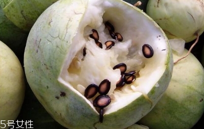 打瓜可以直接吃嗎？打瓜的功效作用