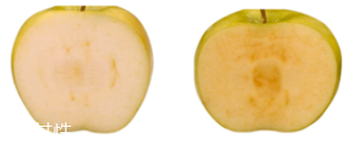 lacabine安瓶什么功效？深度測評抗氧化效果