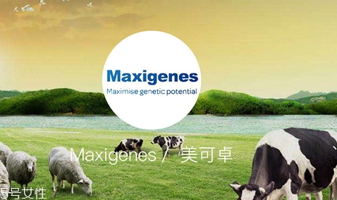 藍(lán)胖子奶粉和德運(yùn)奶粉哪個(gè)好？