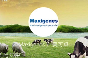 藍(lán)胖子奶粉適合什么人？成人可以喝嗎？