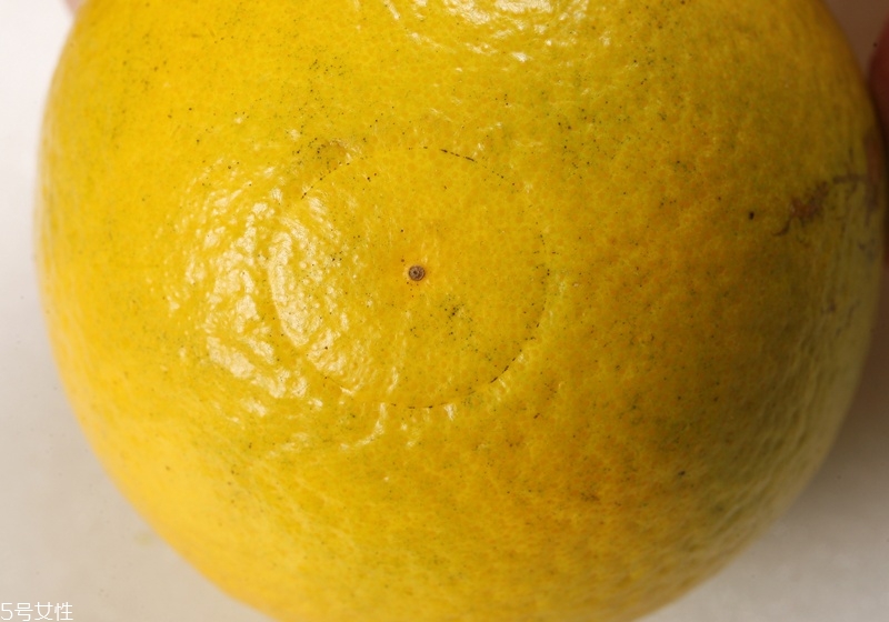 橘子有幾種種類 橙子的種類有哪些 橘子有幾種種類 橙子的種類有哪些