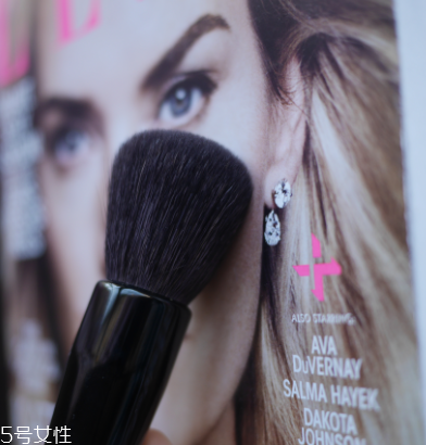 散粉刷什么毛的材質好 散粉刷這樣蘸取散粉 散粉刷什么毛的材質好 散粉刷這樣蘸取散粉