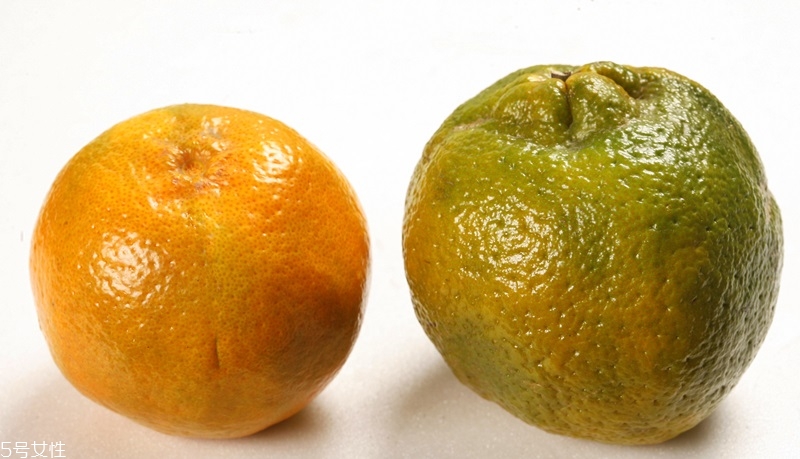 橘子有幾種種類 橙子的種類有哪些 橘子有幾種種類 橙子的種類有哪些