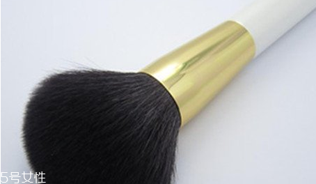 散粉刷什么毛的材質好 散粉刷這樣蘸取散粉 散粉刷什么毛的材質好 散粉刷這樣蘸取散粉