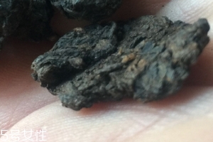 老茶頭怎么泡？泡錯(cuò)了就不好喝了