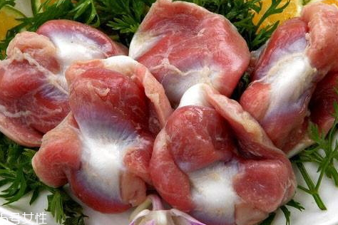 雞胗不能和什么一起吃 搭配禁忌 雞胗不能和什么一起吃 搭配禁忌