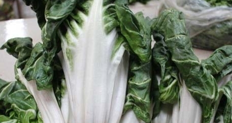 牛皮菜是發(fā)物嗎？牛皮菜有毒嗎