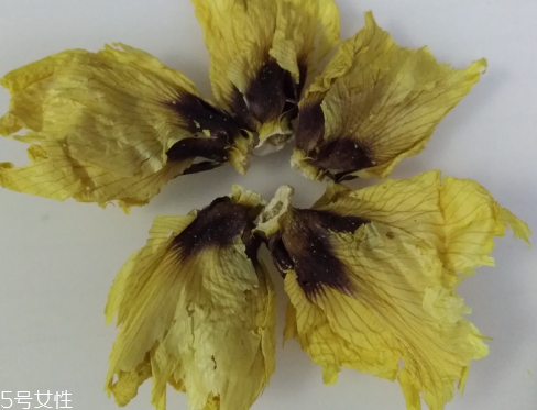 秋葵花怎樣曬干？自然風干最佳