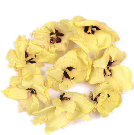 秋葵花泡水喝副作用 別過量就行 秋葵花泡水喝副作用 別過量就行