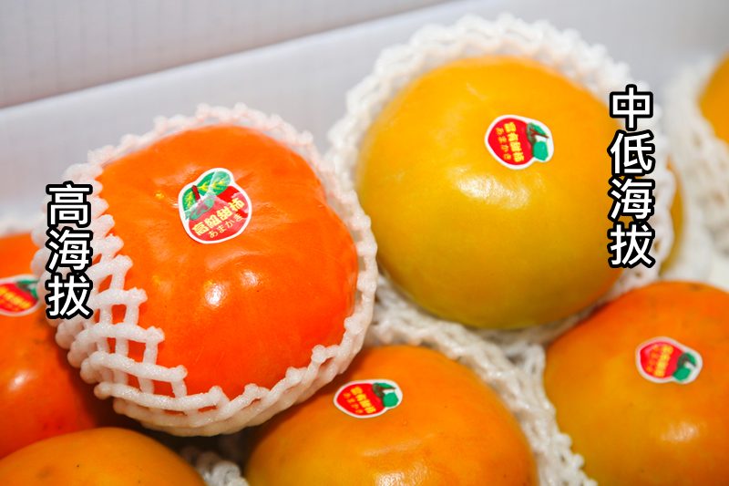 柿子怎么挑選 柿子挑軟的買還是硬的 柿子怎么挑選 柿子挑軟的買還是硬的