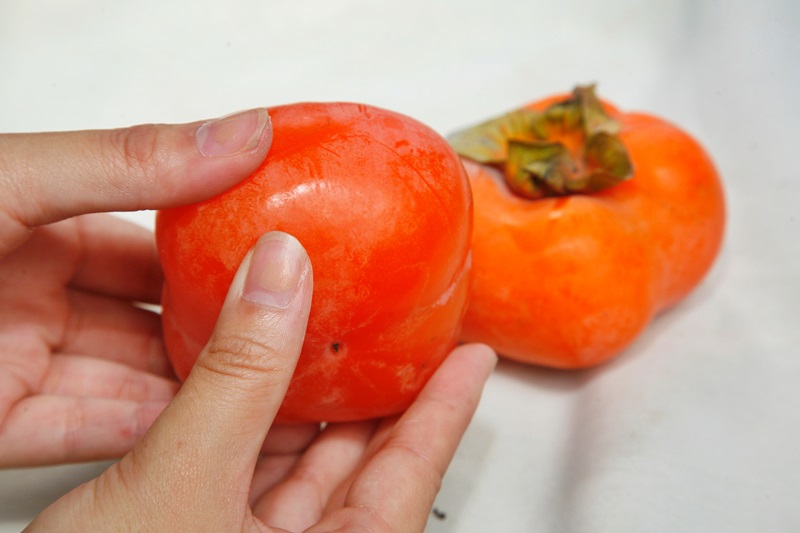 柿子怎么挑選 柿子挑軟的買還是硬的 柿子怎么挑選 柿子挑軟的買還是硬的