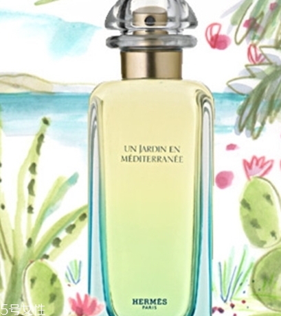 dior迪奧香水和愛(ài)馬仕香水哪個(gè)好？