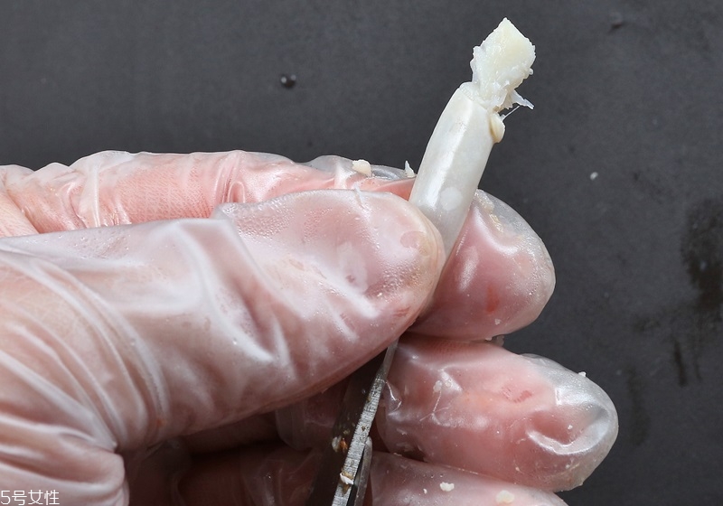 螃蟹怎么吃圖解 優(yōu)雅品嘗螃蟹 螃蟹怎么吃圖解 優(yōu)雅品嘗螃蟹