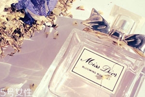 dior迪奧香水和范思哲香水哪個好？